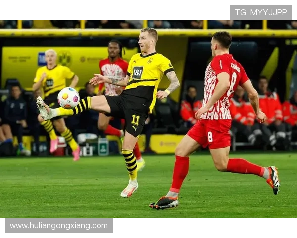 多特蒙德在欧战中的表现回顾，展现璀璨惊喜时刻与历史成就