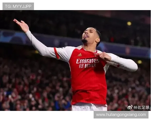 鲁本·迪亚斯与萨利巴:稳定性与成长曲线对比分析 鲁本·迪亚斯与萨利巴:稳定性与成长曲线对比分析