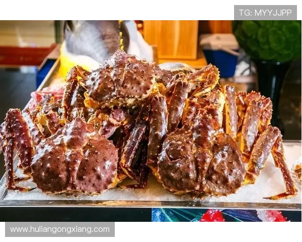 维纳斯·威廉姆斯的早餐菜单，普通人看一眼就饿了